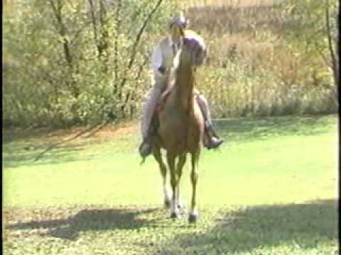 Cowboy Bob's Corral - Show Opening from WTTV