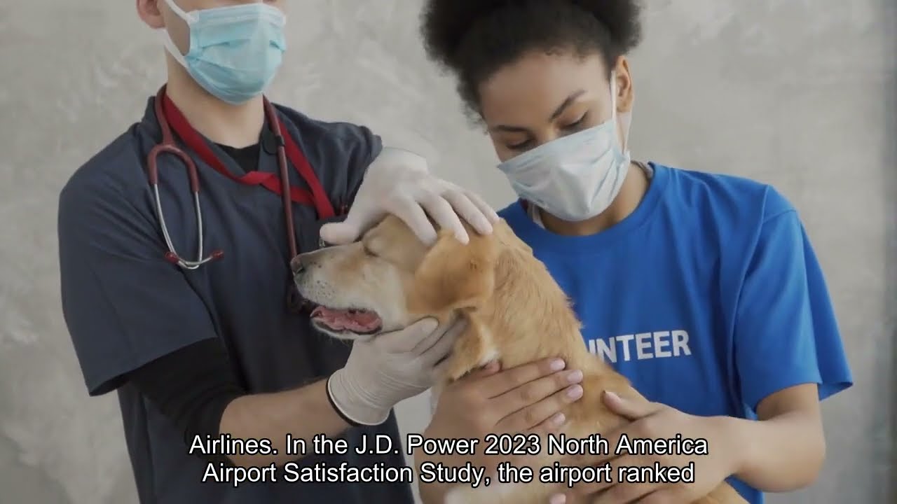 Aeropuertos VIP Club thumbnail