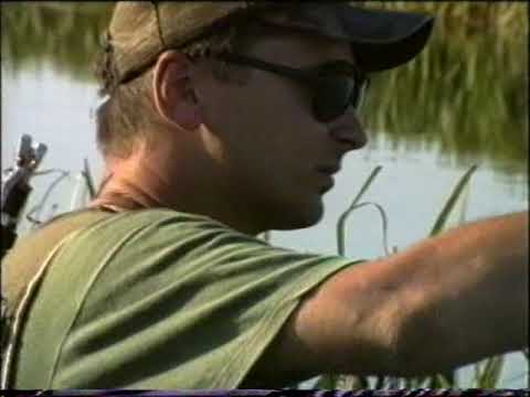 Fly Fishing -Trout ,Grayling ,Aspius on Sava ,Gacka and Kupa   river