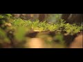 Vimala Hills Property In Harmoni From Agung Podomoro