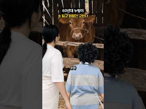 소가 외양간을 탈출 해 버렸다..! #shorts #상황극 #코미디