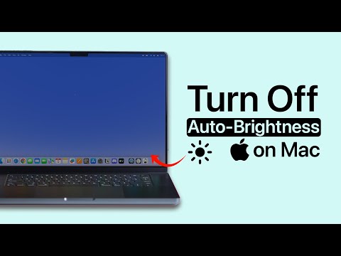 How to Turn Off Auto Brightness on Mac?