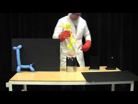 MIT Physics Demo -- Balloons in Liquid Nitrogen