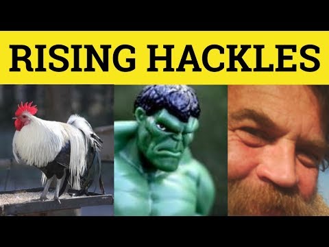 🔵 Hackles - Get My Hackles Up - Raise My Hackles Meaning - Rising Hackles Examples