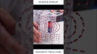 Subscribe #Physics61   Please #shorts #shortvideo #magnetic #field #experiment #trend