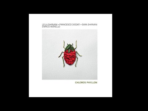 Leila Shirvani, Francesco Diodati, Sara Shirvani, Enrico Morello - Labe Bum Umadi