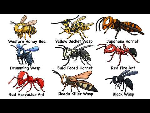 Every DEADLlEST Insect Bite In 16 Minutes