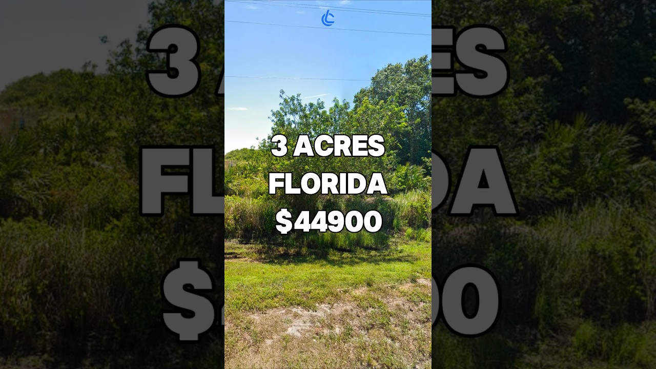 3 Acres for Sale in Okeechobee, FL for $44,900. Taxes are $740/year. Mobile Home Allowed #fyp #viral