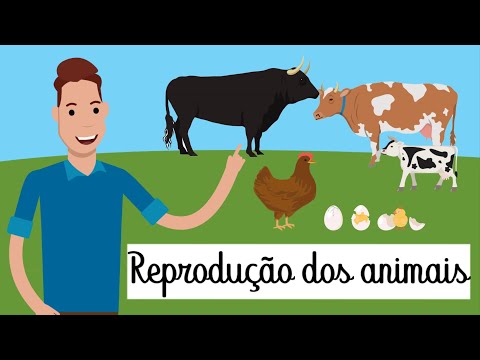 REPRODUÇÃO DOS ANIMAIS