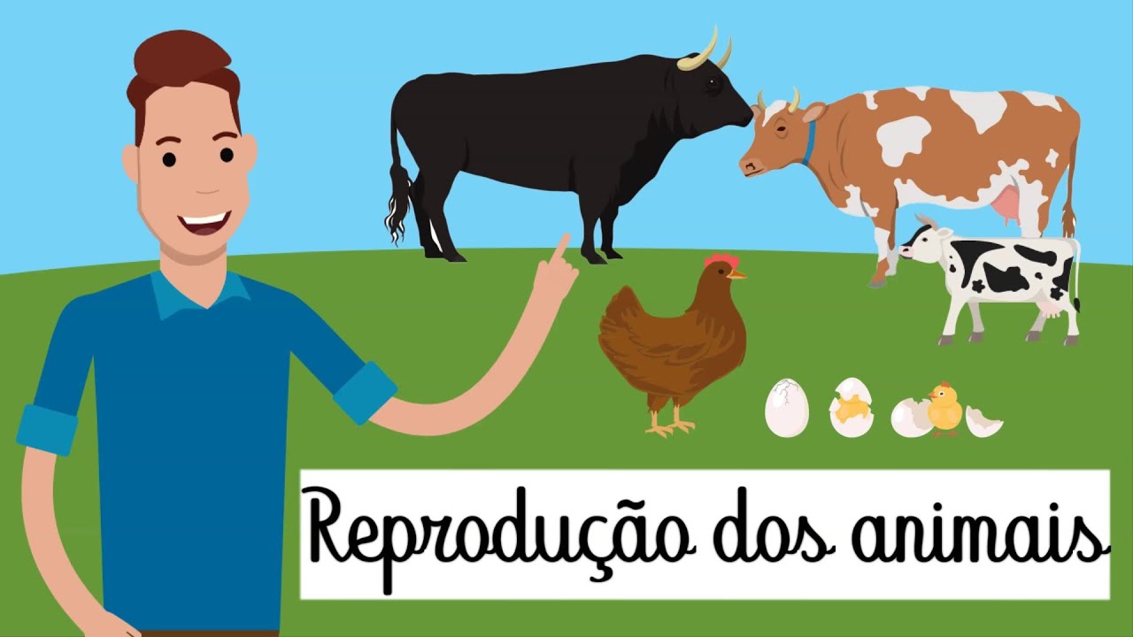 REPRODUÇÃO DOS ANIMAIS