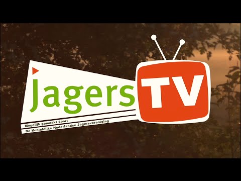 JagersTV Episode 1 - Hunting exams, the Environmental Act, and tips for roe deer hunting