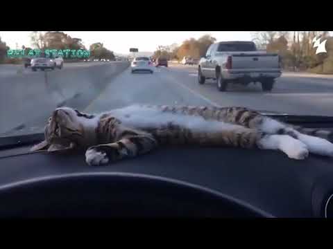 Faithless Feat  Zoe Johnston – Crazy English Summer Maor Levi Remix