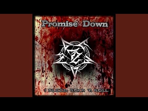 I Bleed Rock 'n Roll