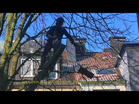 Alles über Prostata-Stimulation Prostatitis Sex Problem