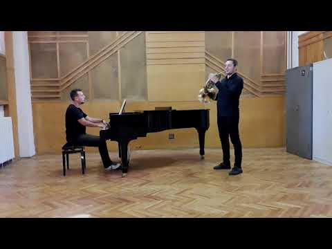 Ștefan Danifeld - W.A. Mozart, Horn concerto in E-flat major, K.495