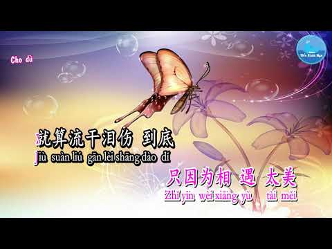 Cánh Bướm Trong Mưa [雨蝶] - Lý Dực Quân [李翊君] Tone Nữ [女版] (Karaoke - KTV)