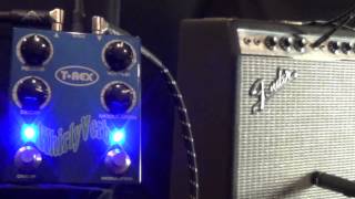 Video thumbnail for T-Rex Whirly Verb by StompCentraldotcom