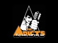the adicts maybe, maybe not subtitulado