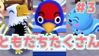 【毎日投稿どうぶつの森】めーっちゃ楽しむポケ森実況part3【ポケットキャンプ】