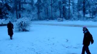 Winter Wonderland Along the Gulf Coast(Uriah, Alabama)(2-12-2010)