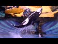 Orca Encounter Full Show SeaWorld Orlando November 9 2021