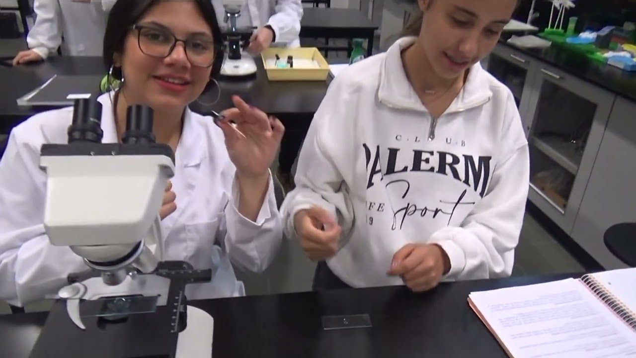 "Células Fofinhas" | Aula prática de microscopia ótica | Professora Helena Santos