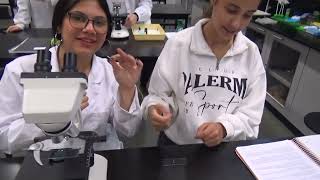 "Células Fofinhas" | Aula prática de microscopia ótica | Professora Helena Santos