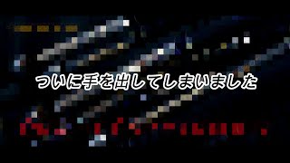 すいません、あの実は…〇〇買ってました！！第1弾【サムネ見たら買った物がわかってしまう・・・あれです！！】