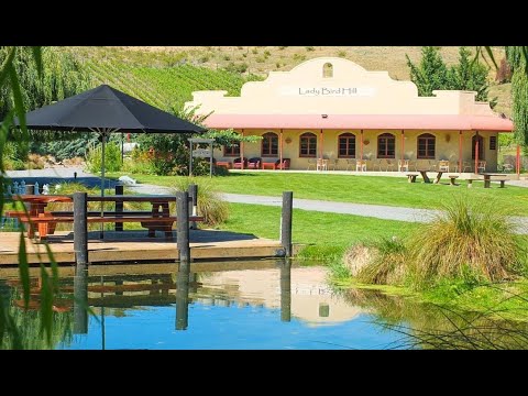 1 Pinot Noir Court, Omarama, Waitaki, Otago, 3 bedrooms, 3浴, Lifestyle Property