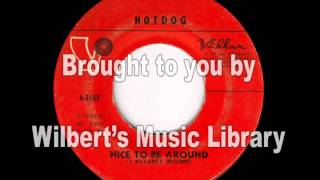 NICE TO BE AROUND - Hotdog