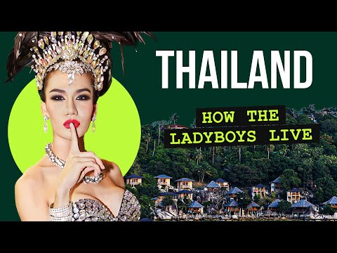 Ladyboys and their husbands: fates, families, surgeries and work of transgender people in Thailand.