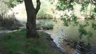 Rivington Gardens .......... Chorley Lancashire 2013