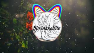 Broccoli Bass boosted (D.R.A.M)