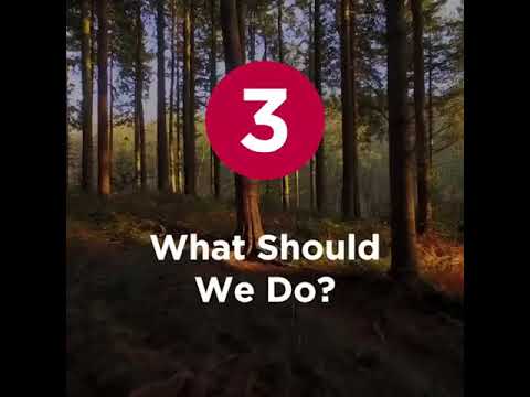 The three white days of Dhul Qadah   What should we do