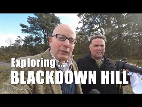 Walks in Sussex: Exploring Blackdown Hill - Part One