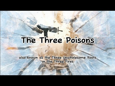 The Three Poisons, also known as the Three Unwholesome Roots or the Three Fires.