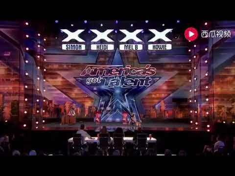 America's got talent (animal tricks)*