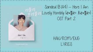 Sandeul B1A4 – [Here I Am] Lovely Horribly (러블리 호러블리) OST Part 2 Lyrics