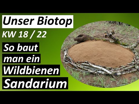 So baut man ein Wildbienen Sandarium - #Biotop - KW 18 / 2022