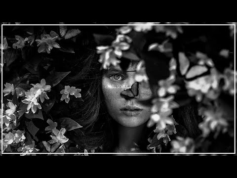 [deep healing music] The Ends  -  Luke Howard...Music for Deep Sleep