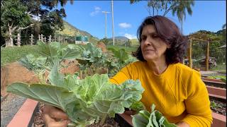 UMA SALADA DOS TEMPOS DA BÍBLIA - CÉLIA RABELLO