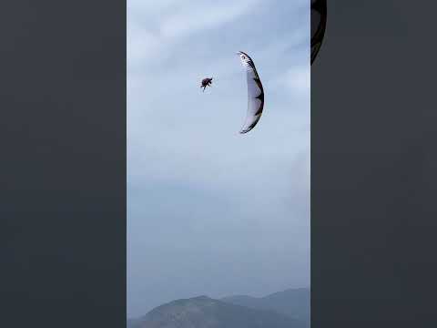 Экстремальный спорт Freestyle Paragliding Insanity #shorts #paragliding