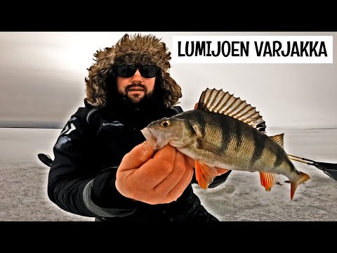 PILKILLÄ LUMIJOEN VARJAKASSA - AHVENTA JOKA PUOLELTA - RAUTULÄTKÄLLÄ JA MORRILLA