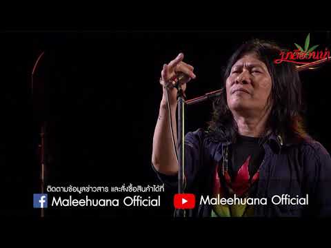 โมรา มาลีฮวนน่า