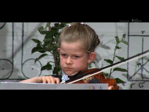 Volkskulturpreise (Kulturpreis 2015 Land Salzburg)