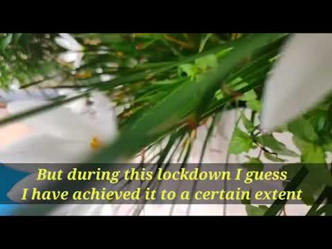 Documentary on  my garden by ipsita..........