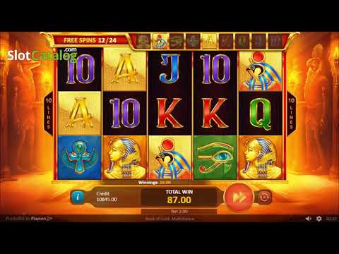 Book Of Gold Multichance gameplay video