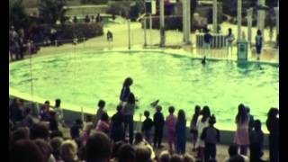 preview picture of video 'Atlantis Marine Park. 1980's.'