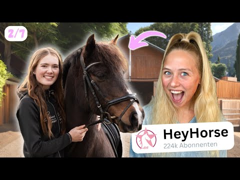 Heyhorse ist zu BESUCH! - OWWM Tag 2