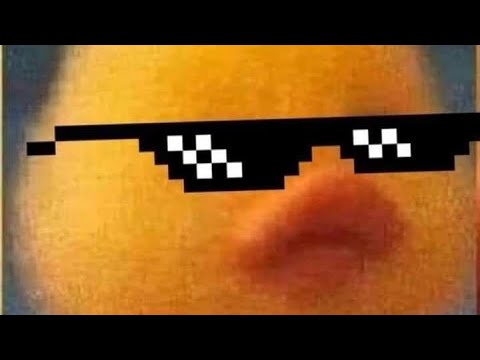 Vídeos engraçados 2023 🤣🫰🏻 Venha conferir